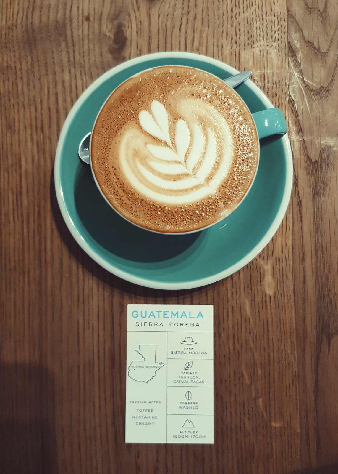 bocca coffee green cup amsterdam