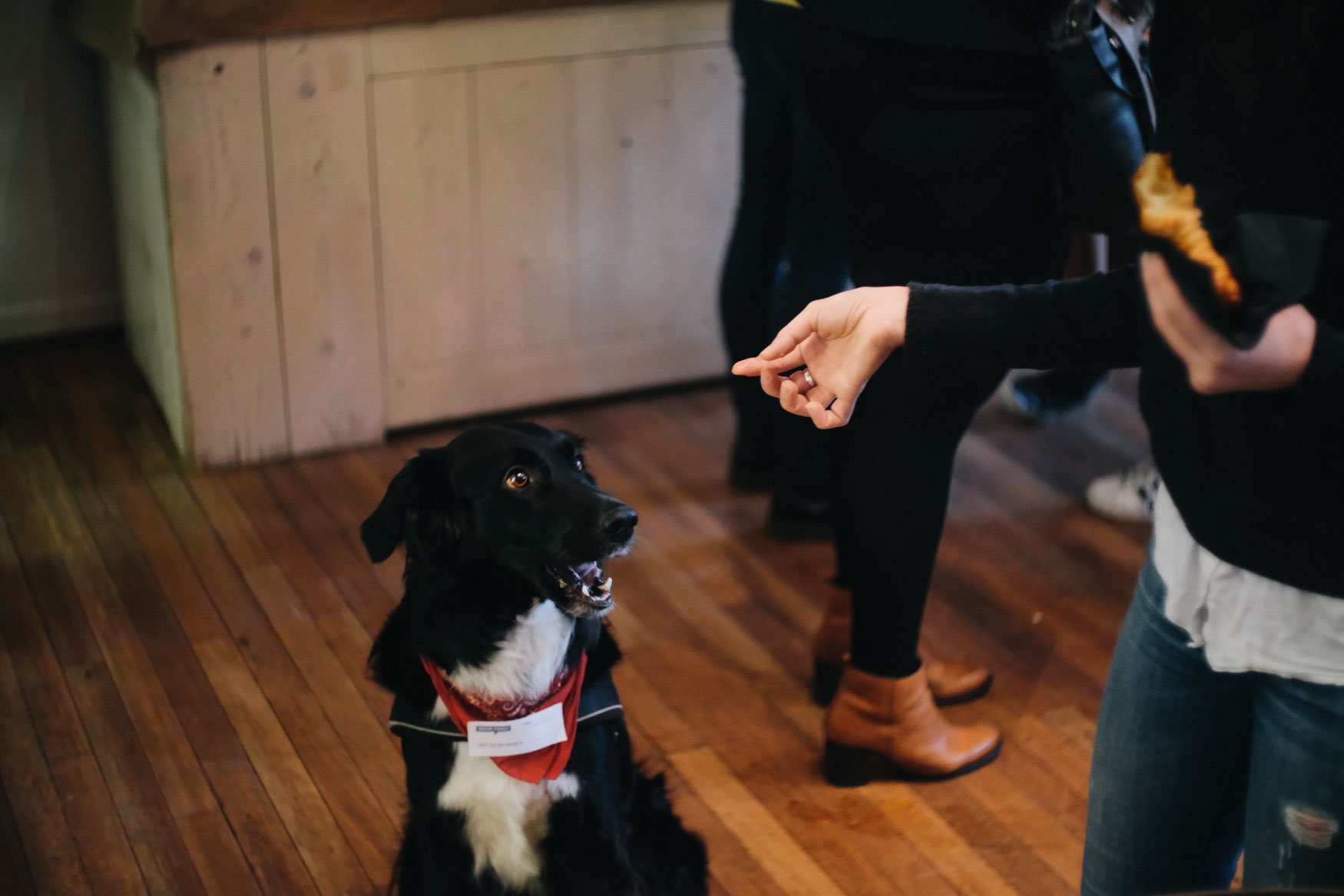 CreativeMornings Amsterdam