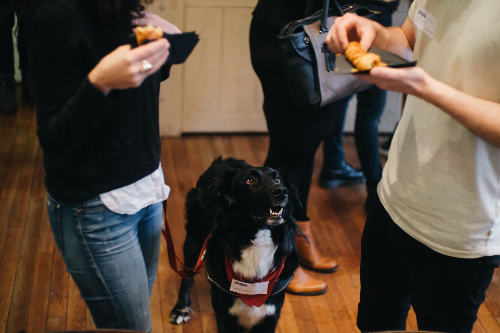 CreativeMornings Amsterdam