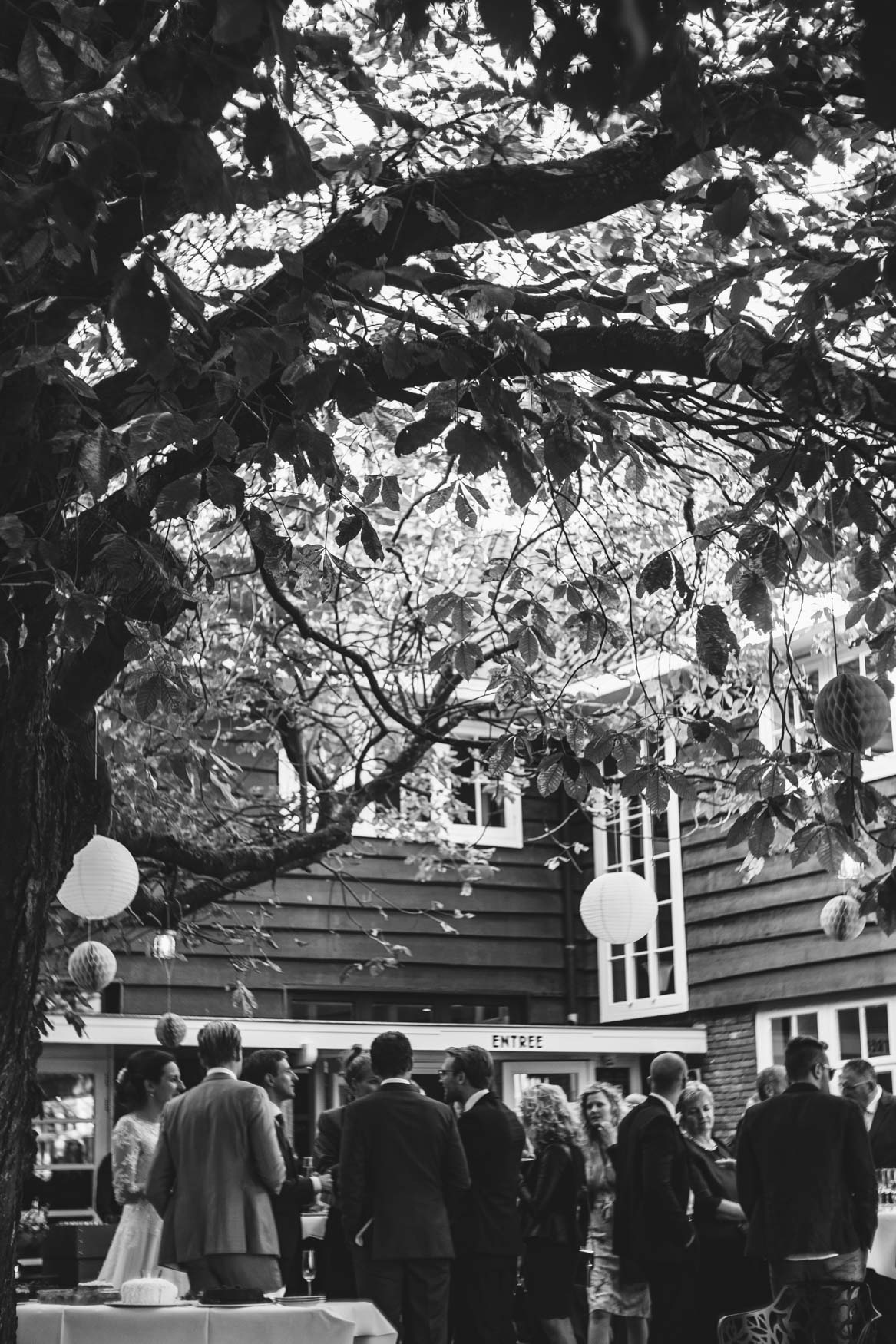 wedding photoreport
