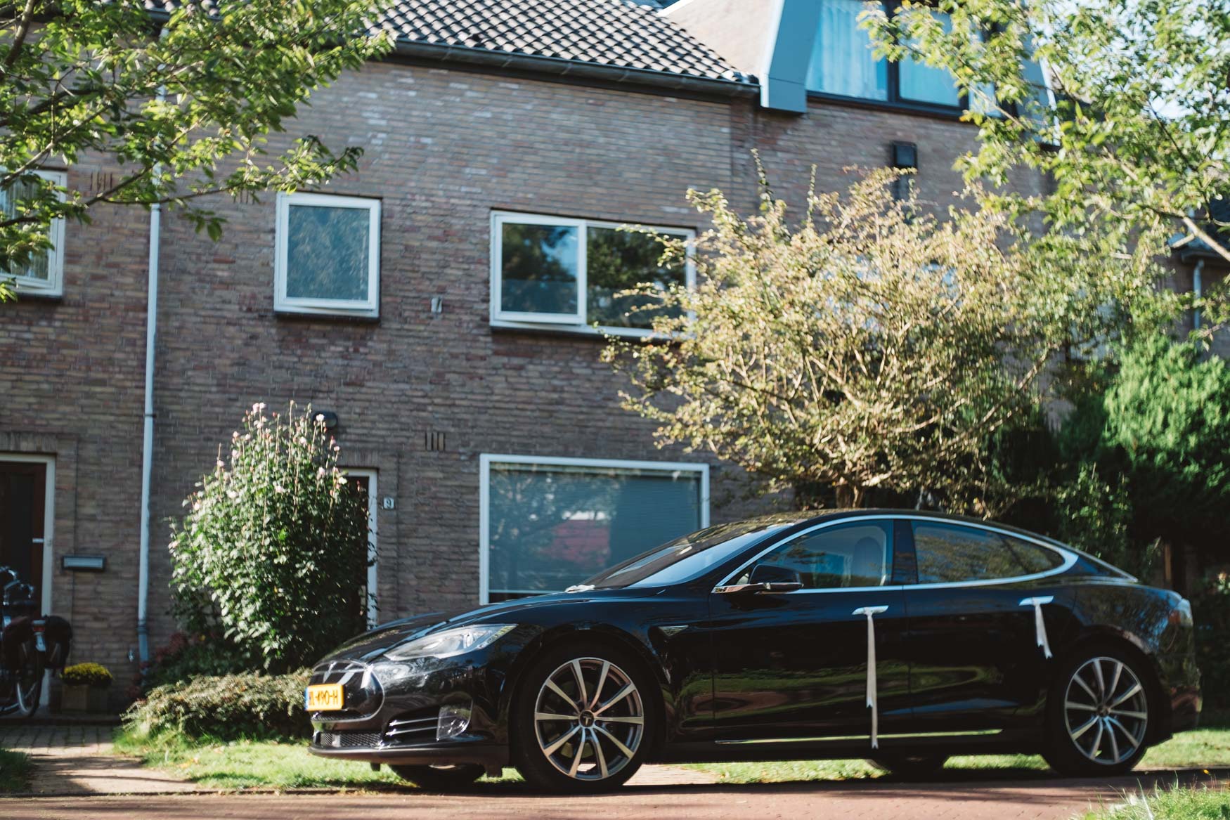 wedding tesla