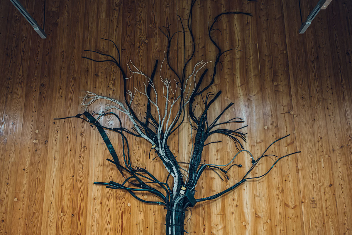Artistic Business Event Photographs at Circl