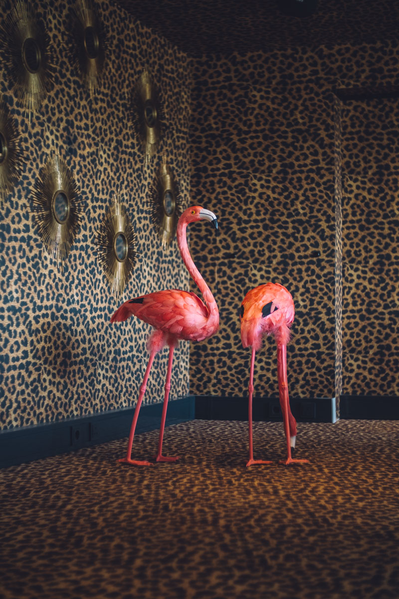 Professional Event Photographer for Amsterdam Marketing Events