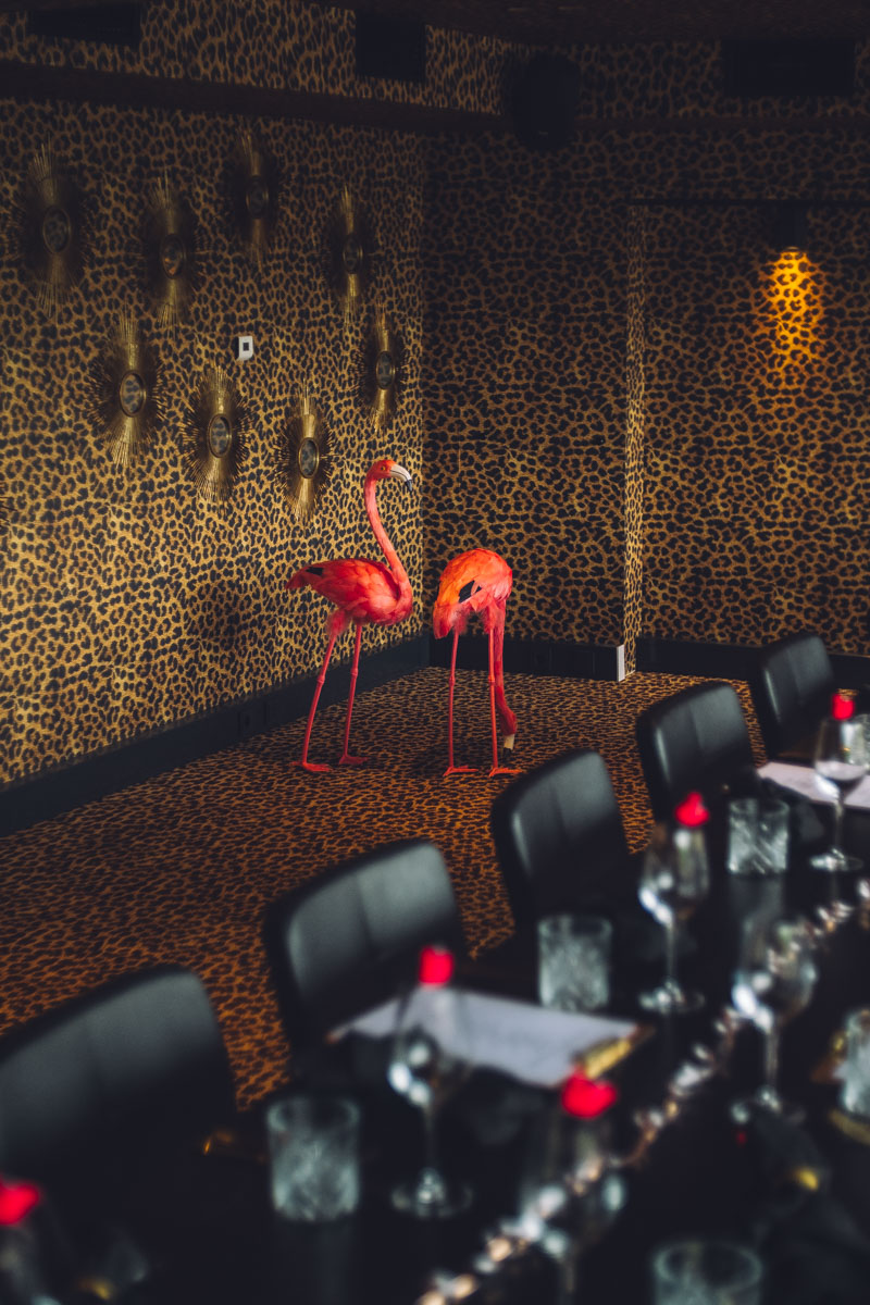 Artistic Event Photography Session for Networking in Amsterdam