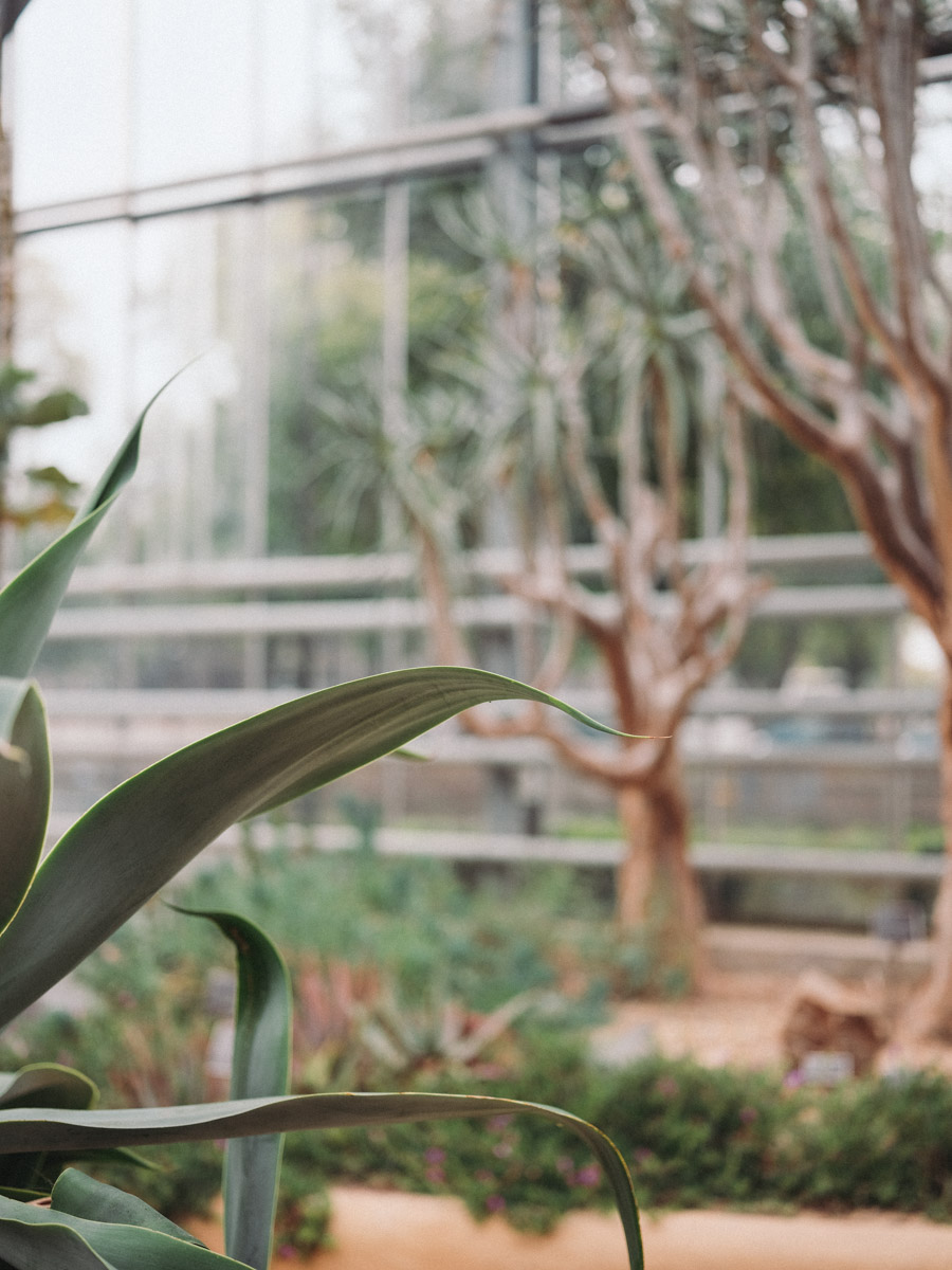 hortus botanicus