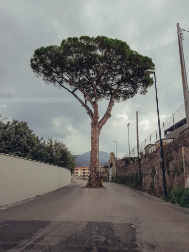 Amalfi Drive