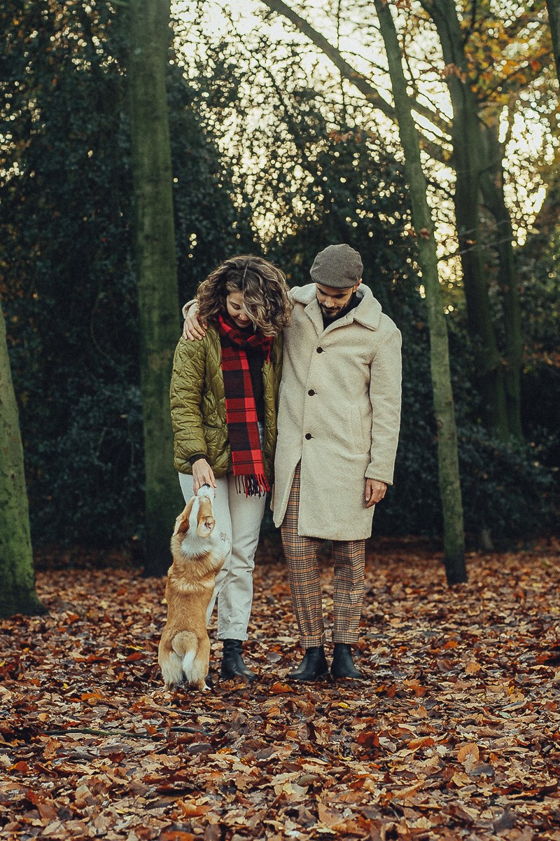 cinematic photography with dog in amsterdam