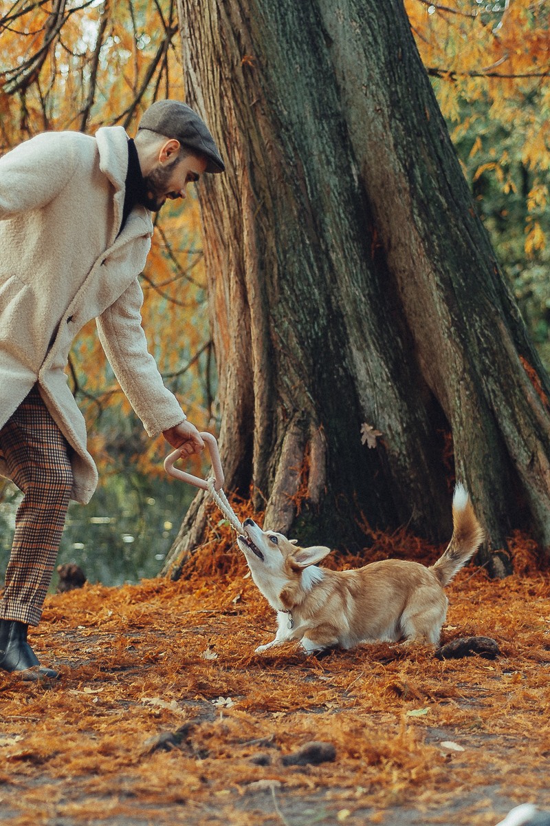 couple with dog photography in amsterdam
