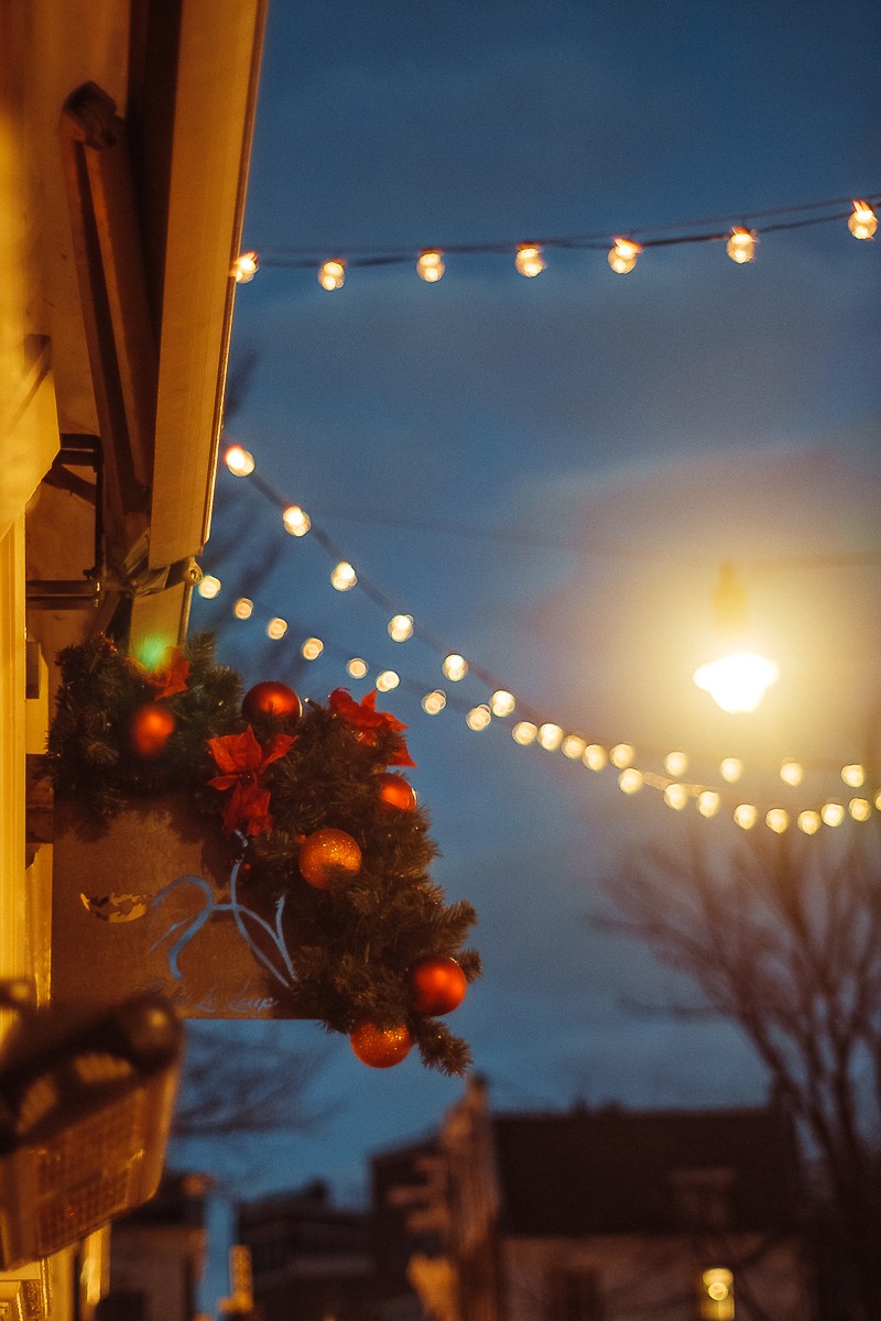 Natural Christmas Photography in Amsterdam