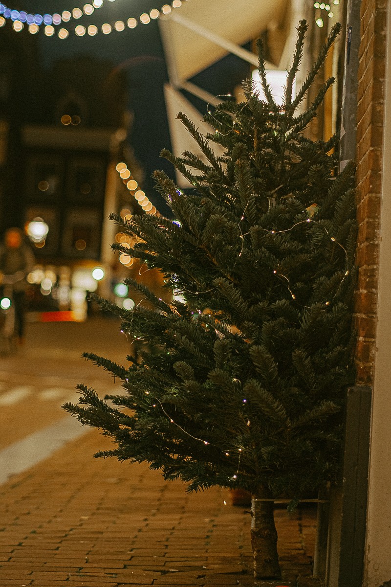 Christmas Portrait Session in Amsterdam