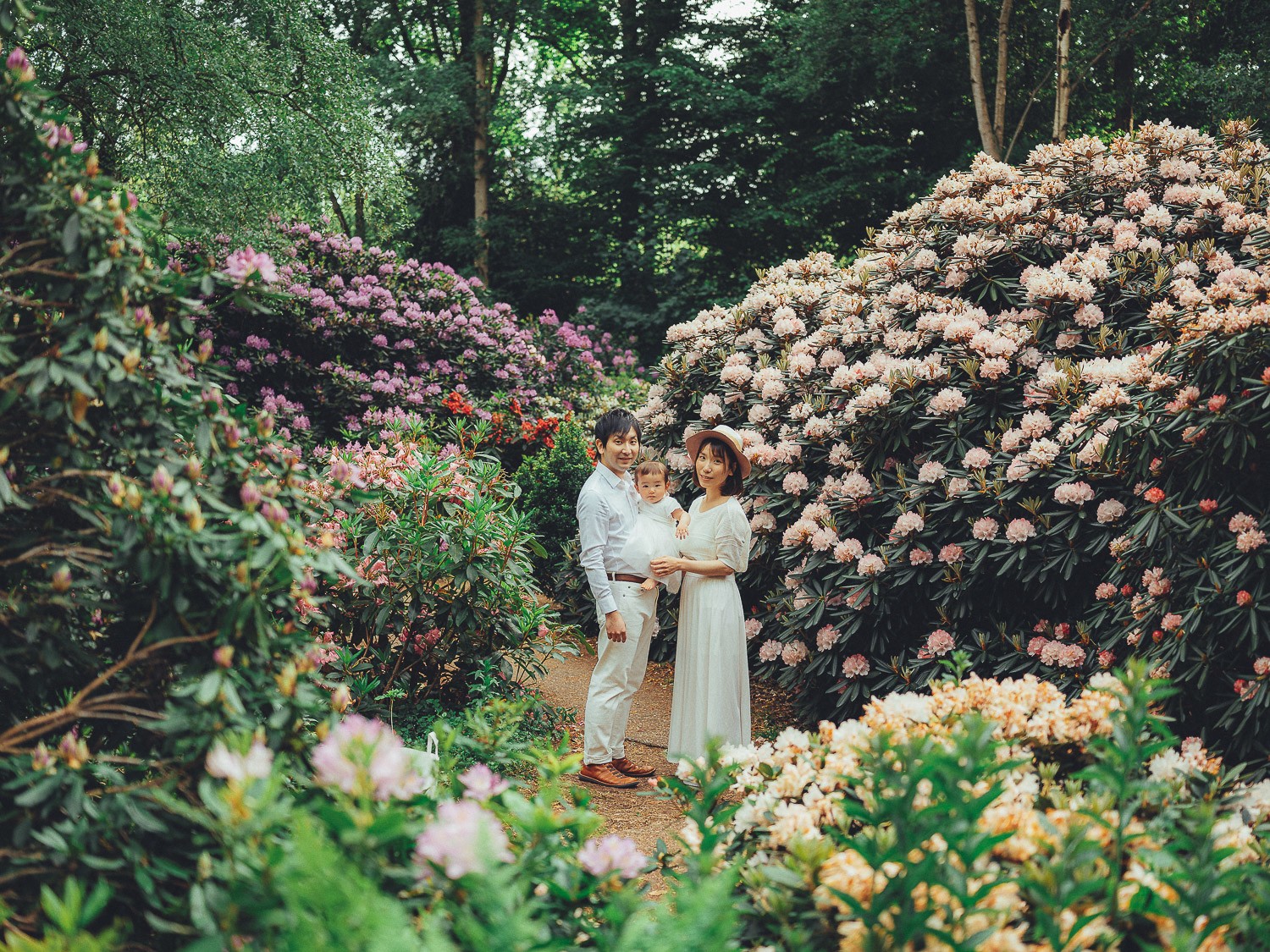 family photography in amsterdam park