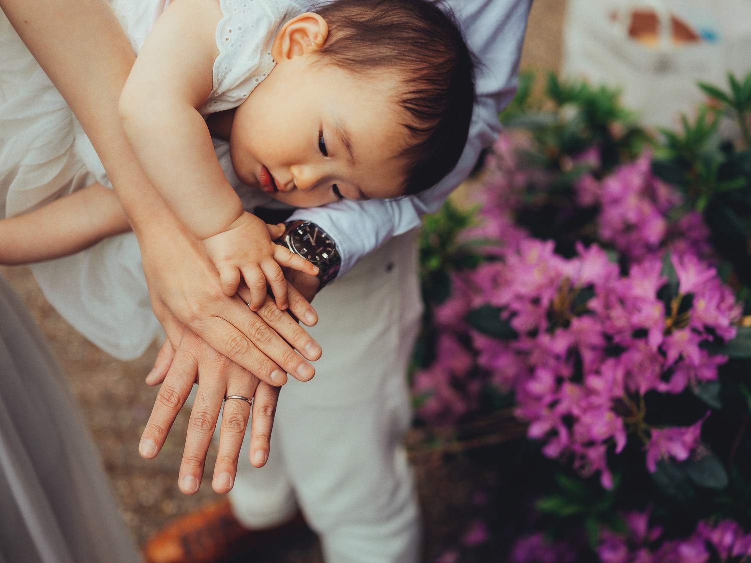 family photographer park holland