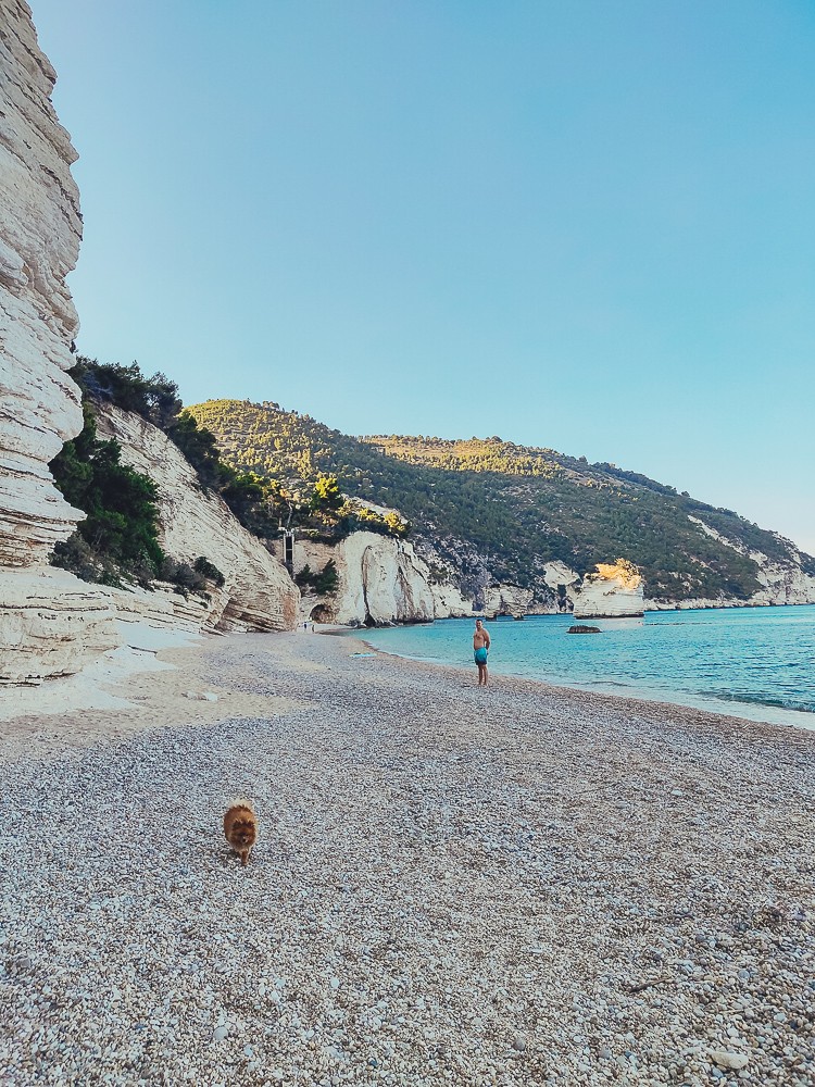 Spiaggia di Baia dei Mergoli