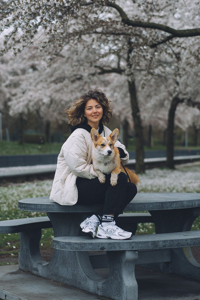 portraiture with pet amsterdam
