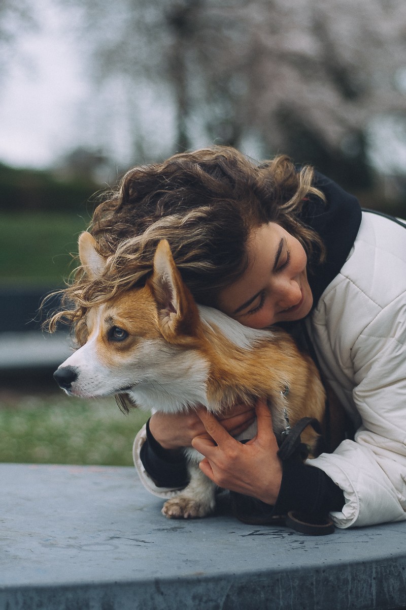 photography with pet amsterdam