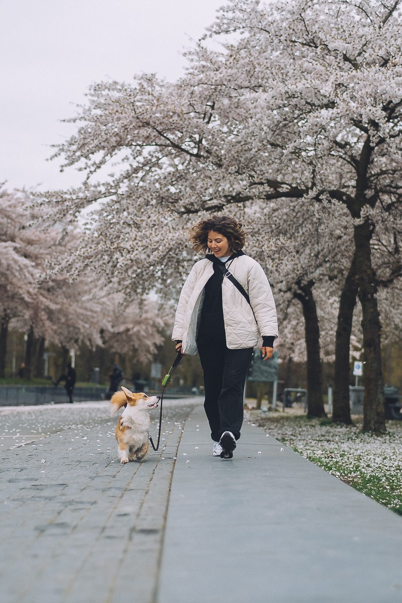 photoshoot with pet amsterdam