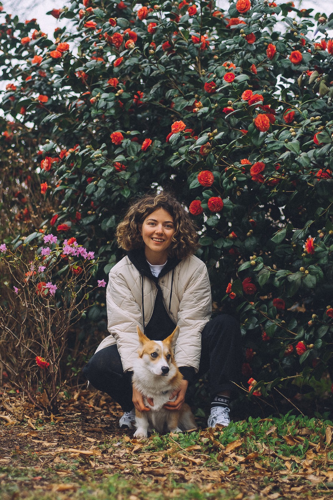 photoshoot with dog amsterdam