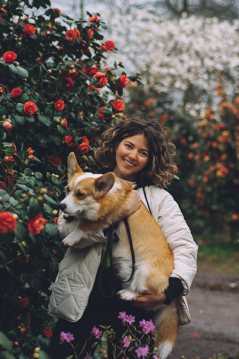 portraiture with pet amsterdam