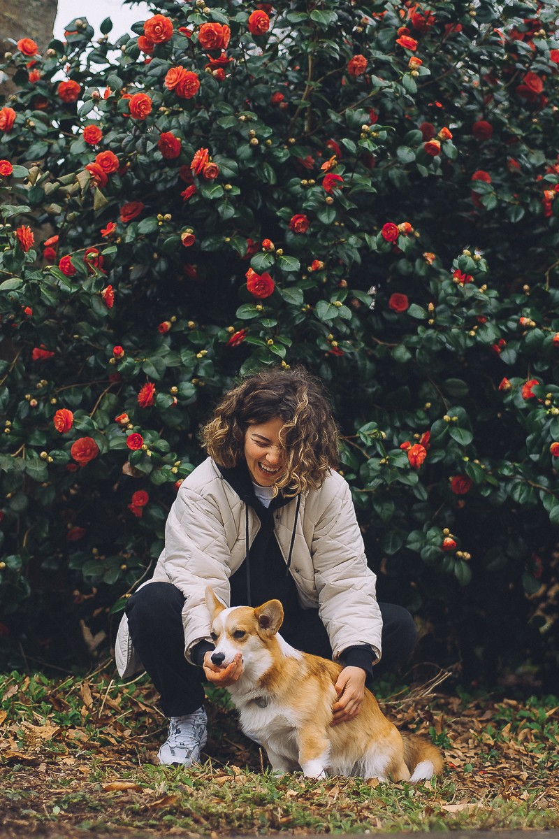 amsterdam photography owner with dog