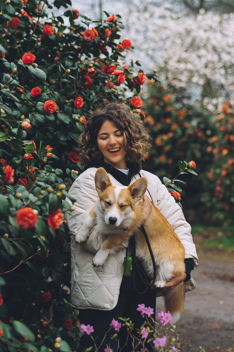 dog with owner photography amsterdam