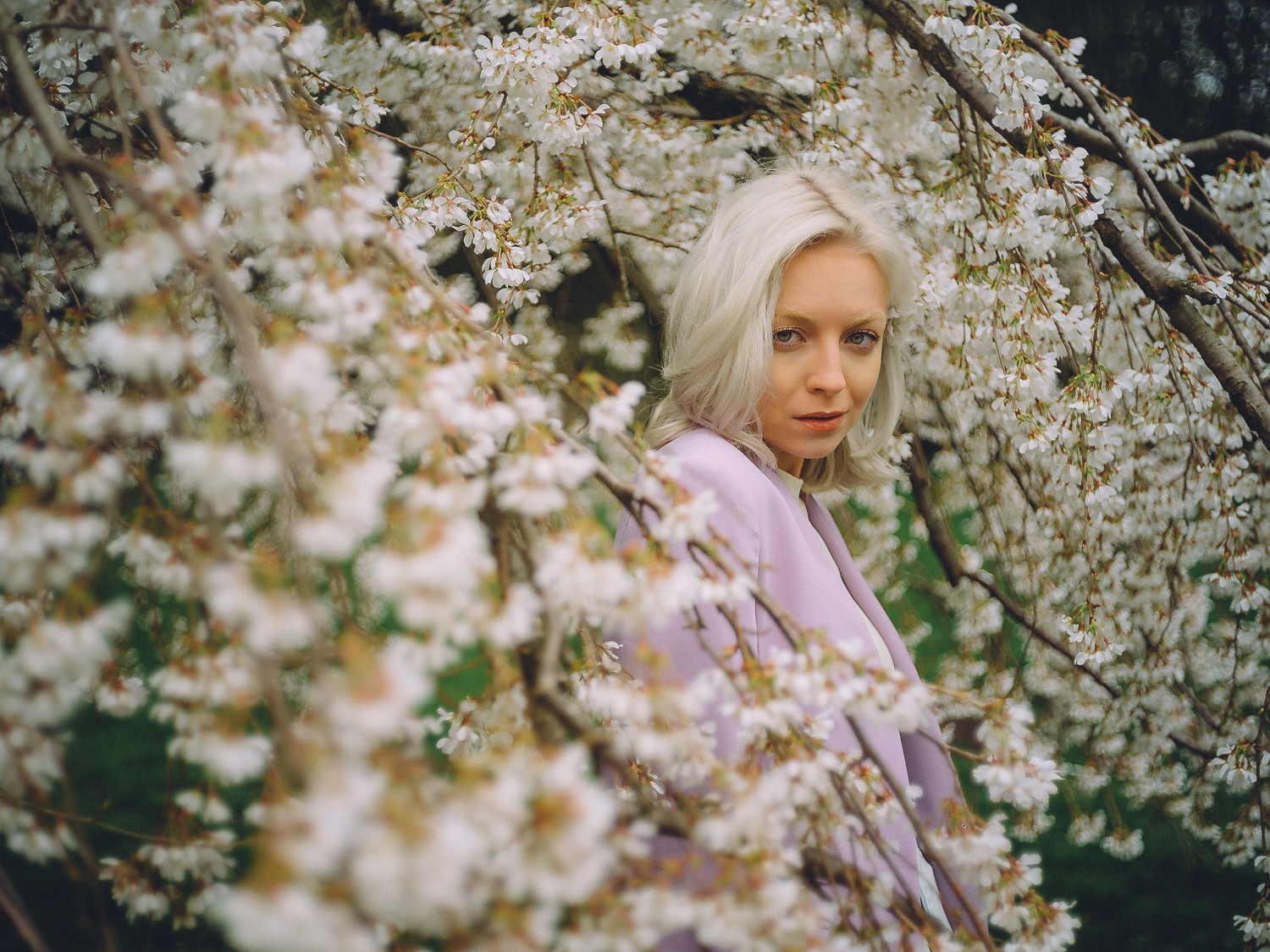 sakura portrait photography amsterdam
