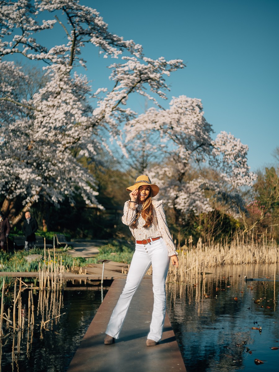 amstergrammable photographer