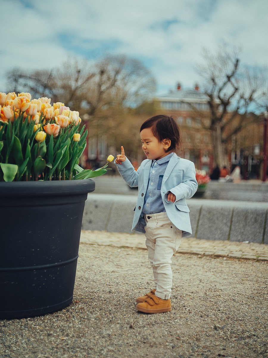 best japanese photography in amsterdam