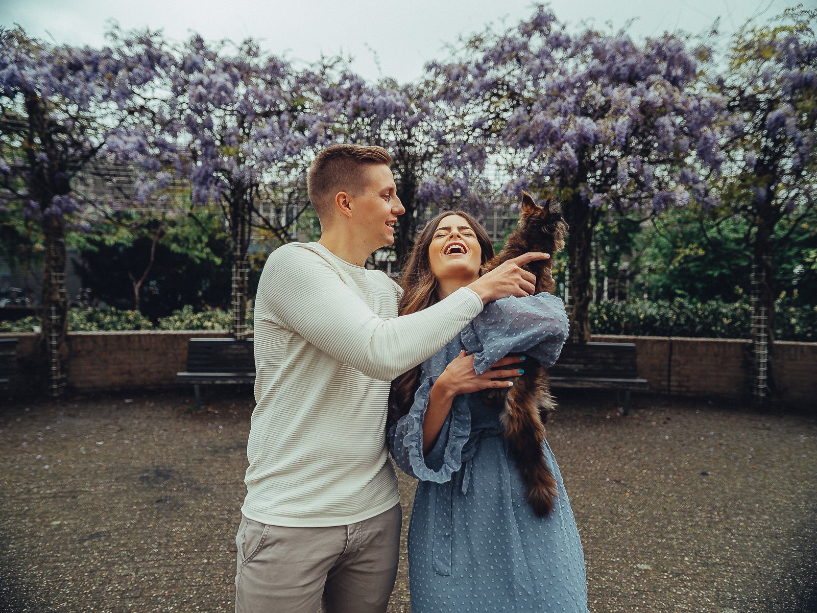 Photo session with a cat