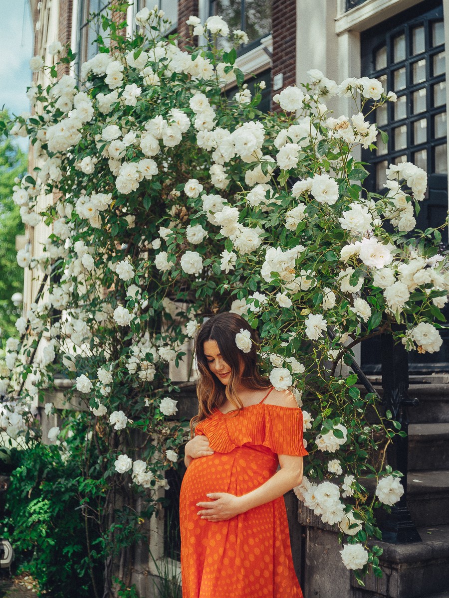 maternity photoshoot roses amsterdam