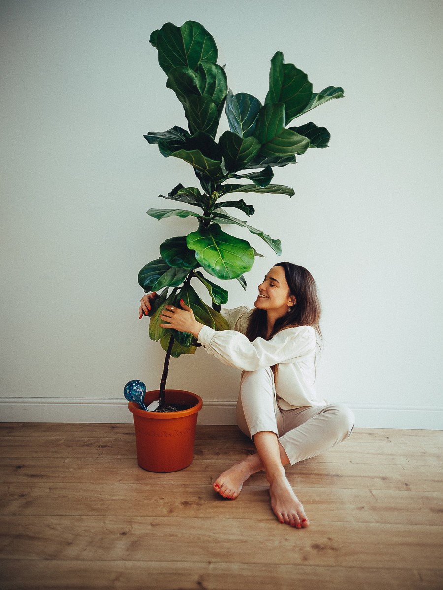 Solo Portrait Photographer in Amsterdam
