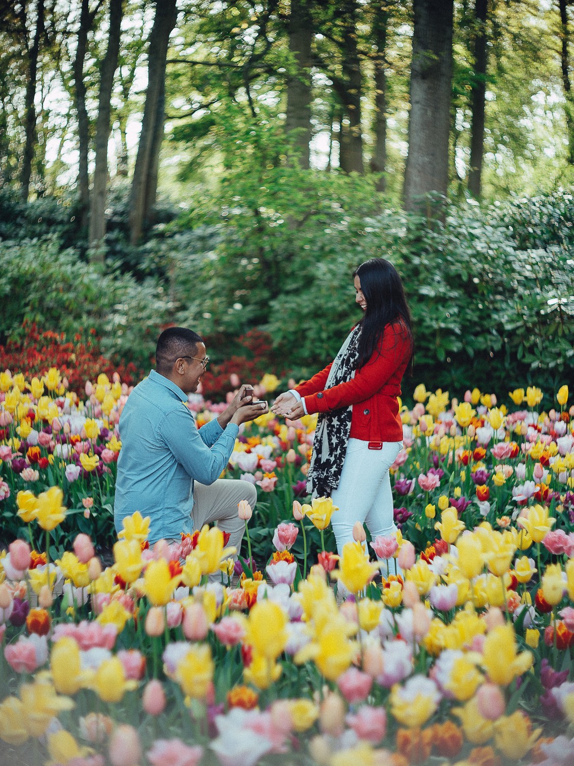 Professional Proposal Photographer at Keukenhof