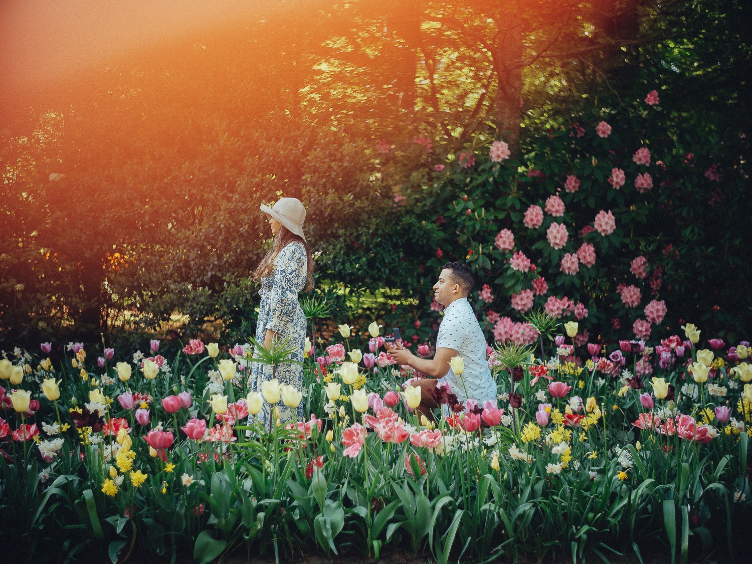 Vibrant Wedding Proposal Photoshoot in the Netherlands