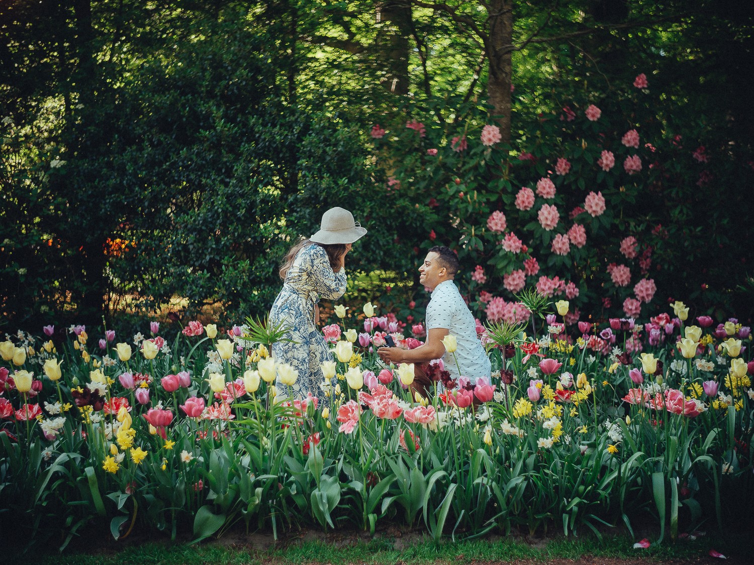 Tulip Field Proposal Photographer