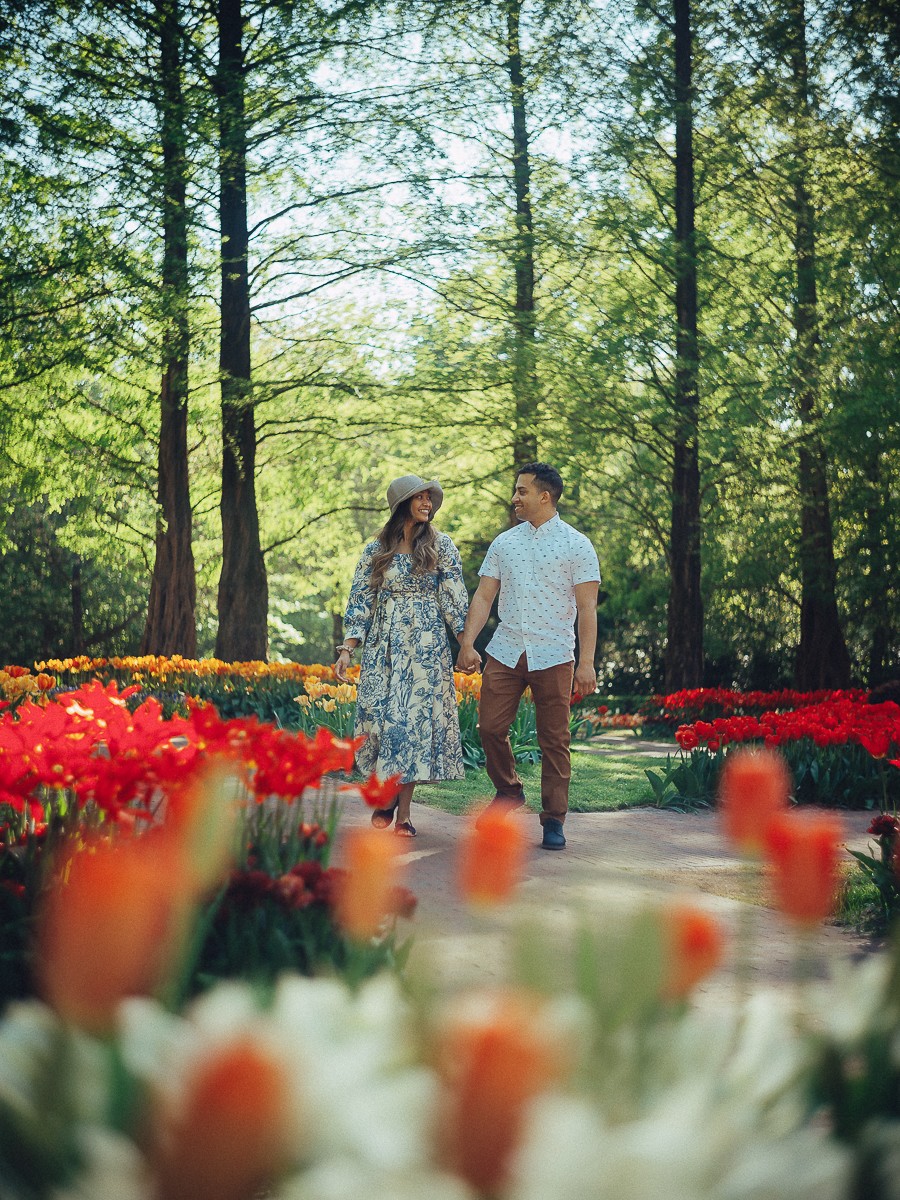 Wedding Proposal Photoshoot at Keukenhof