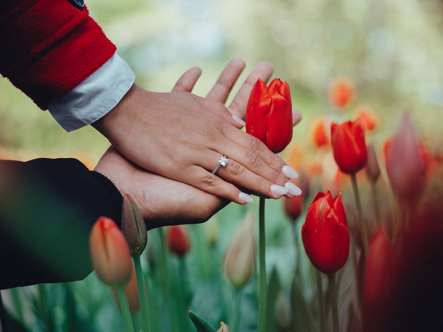 Proposal Photography Session at Keukenhof