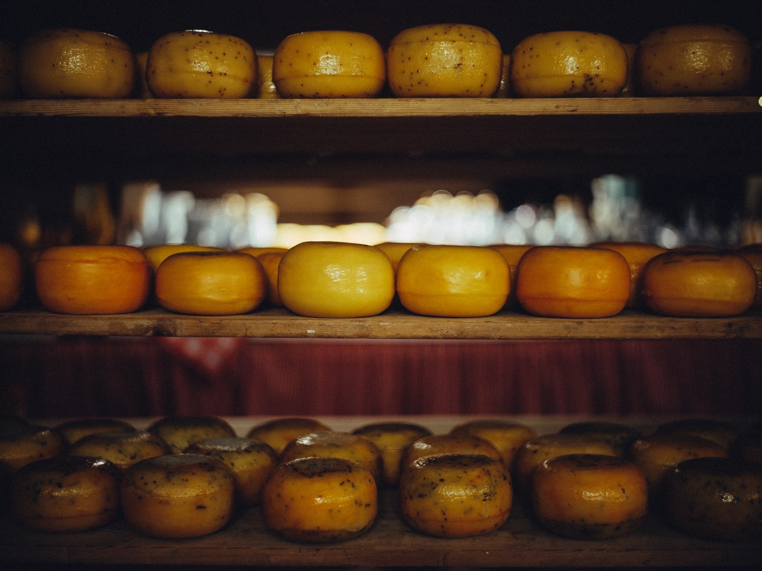 Atmospheric Cheese Farm Business Portraits