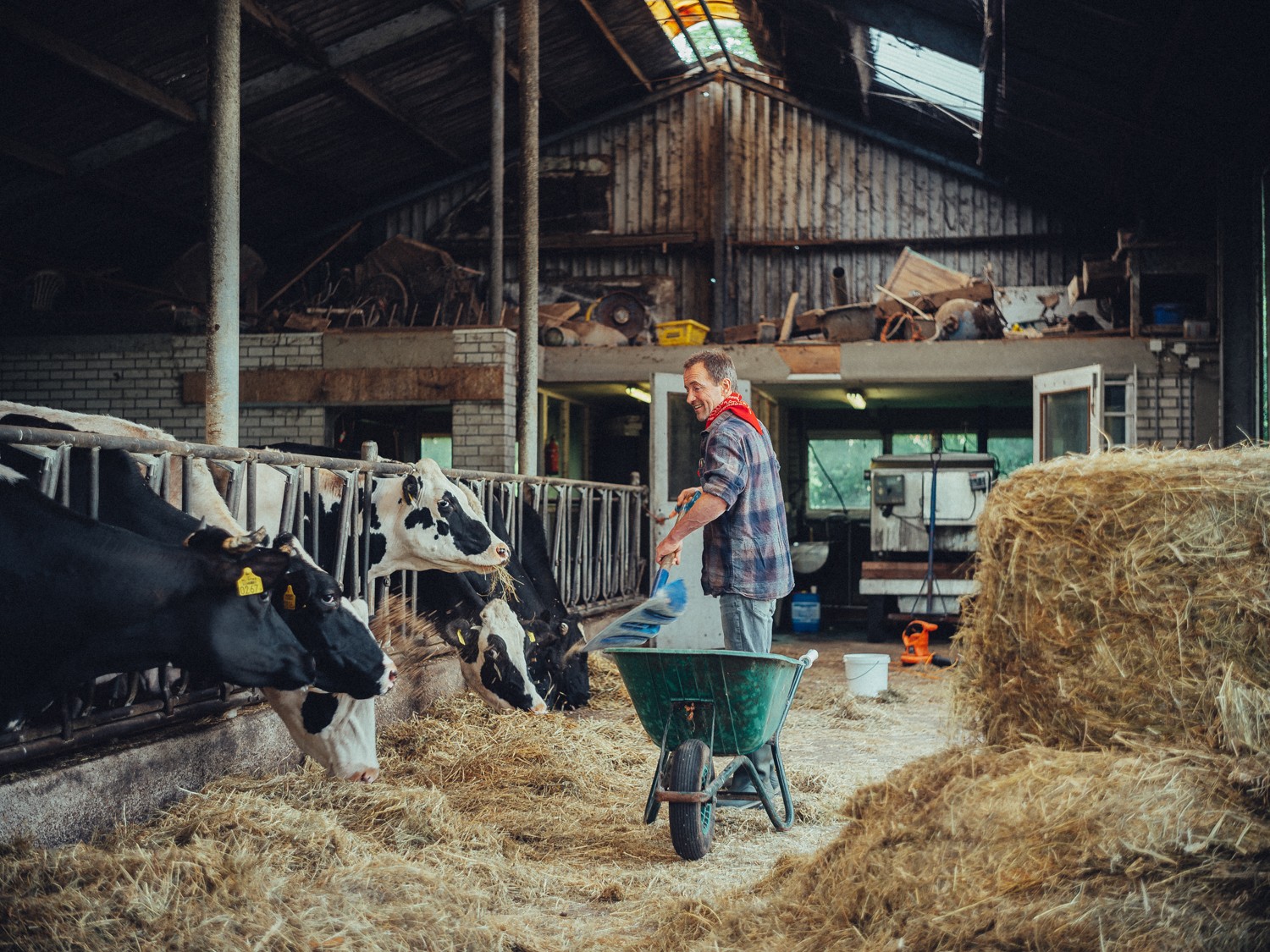 Memorable Dutch Farm Branding Photography Session