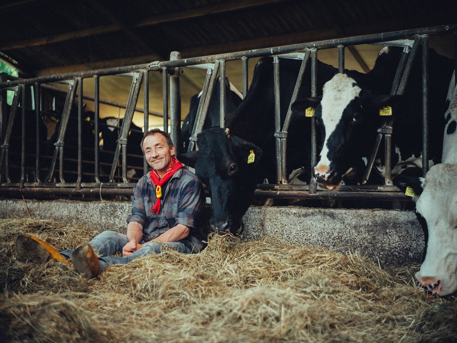 Cinematic Business Branding Photography at Dutch Cheese Farm
