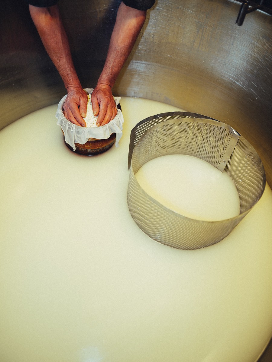Professional Marketing Photo Session Cheese Farm