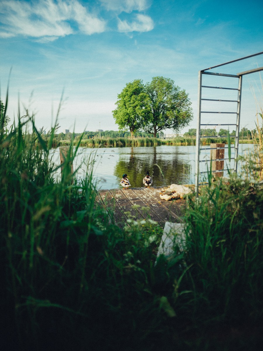 Outdoor Business Branding Photos