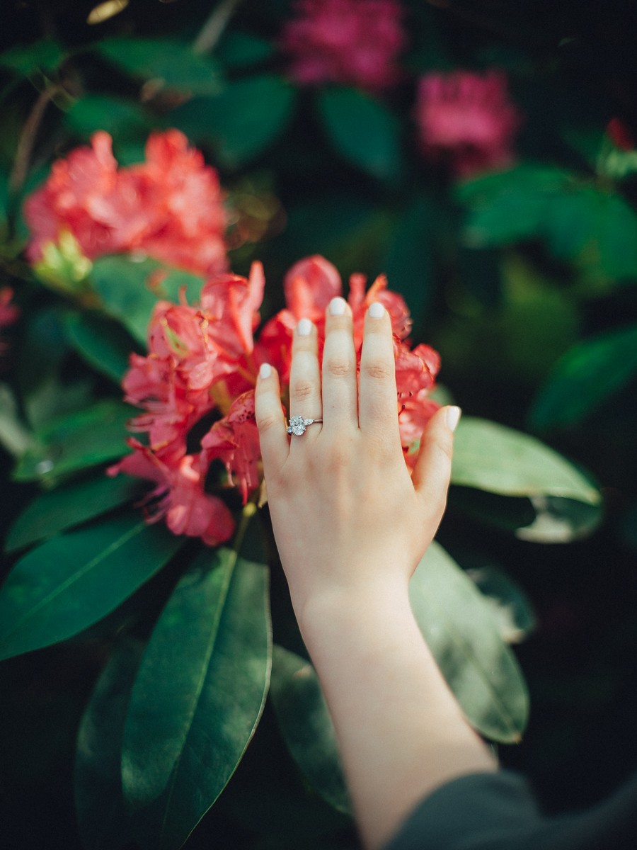 Memorable Keukenhof Marriage Proposal Portraits