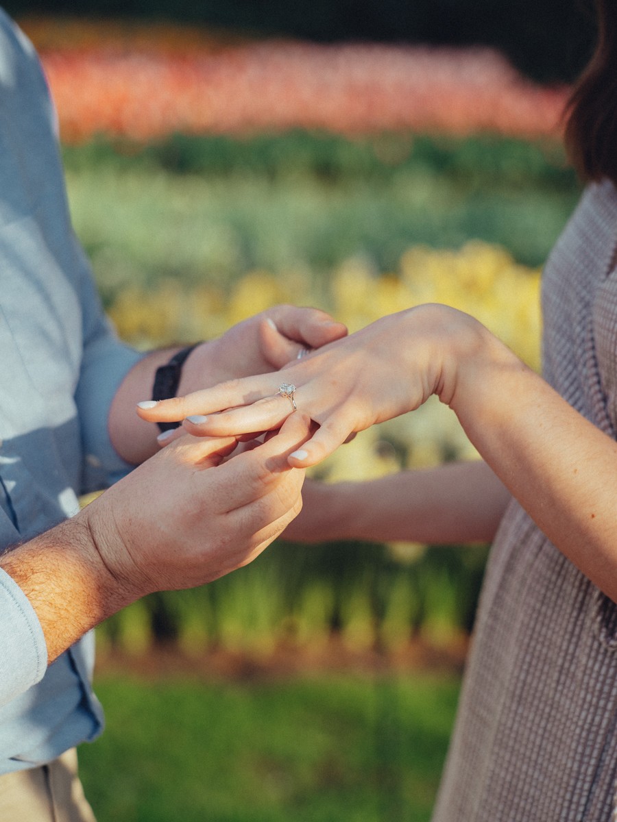 Keukenhof Surprise Proposal Photographer