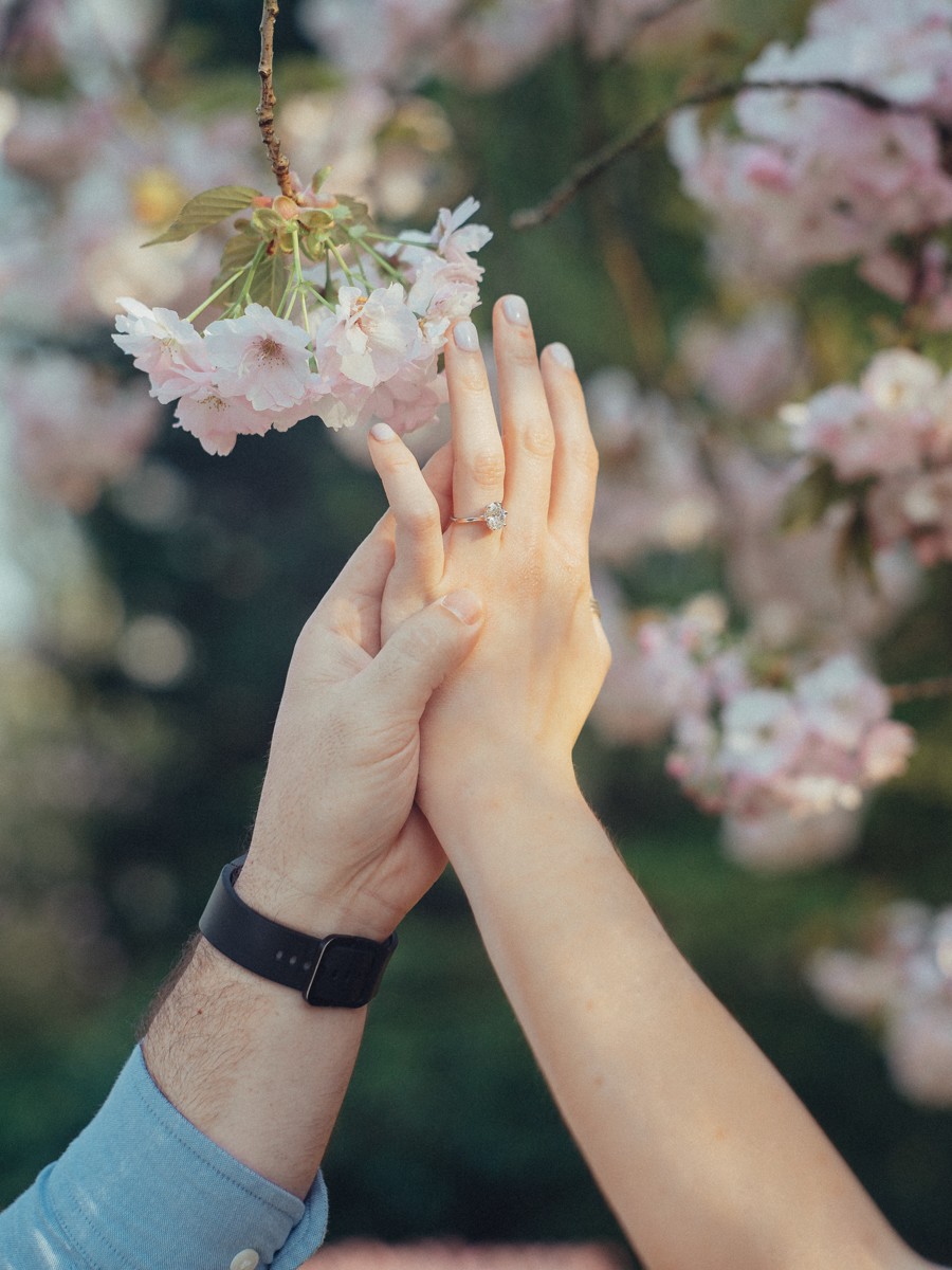 Professional Photographer Proposal
