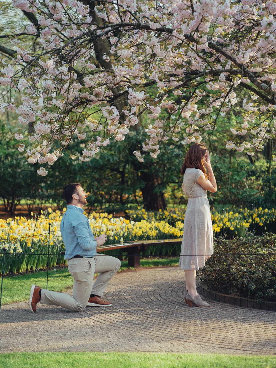 Keukenhof Proposal Photography