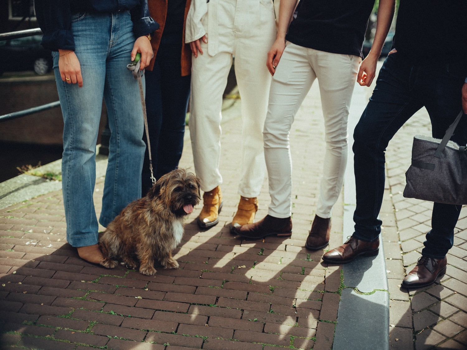 Rij benen en schoenen op een grachtenbrug, witte broek, bruine laarzen en jeans, met de terriër in het midden en zijn tong uit zijn bek