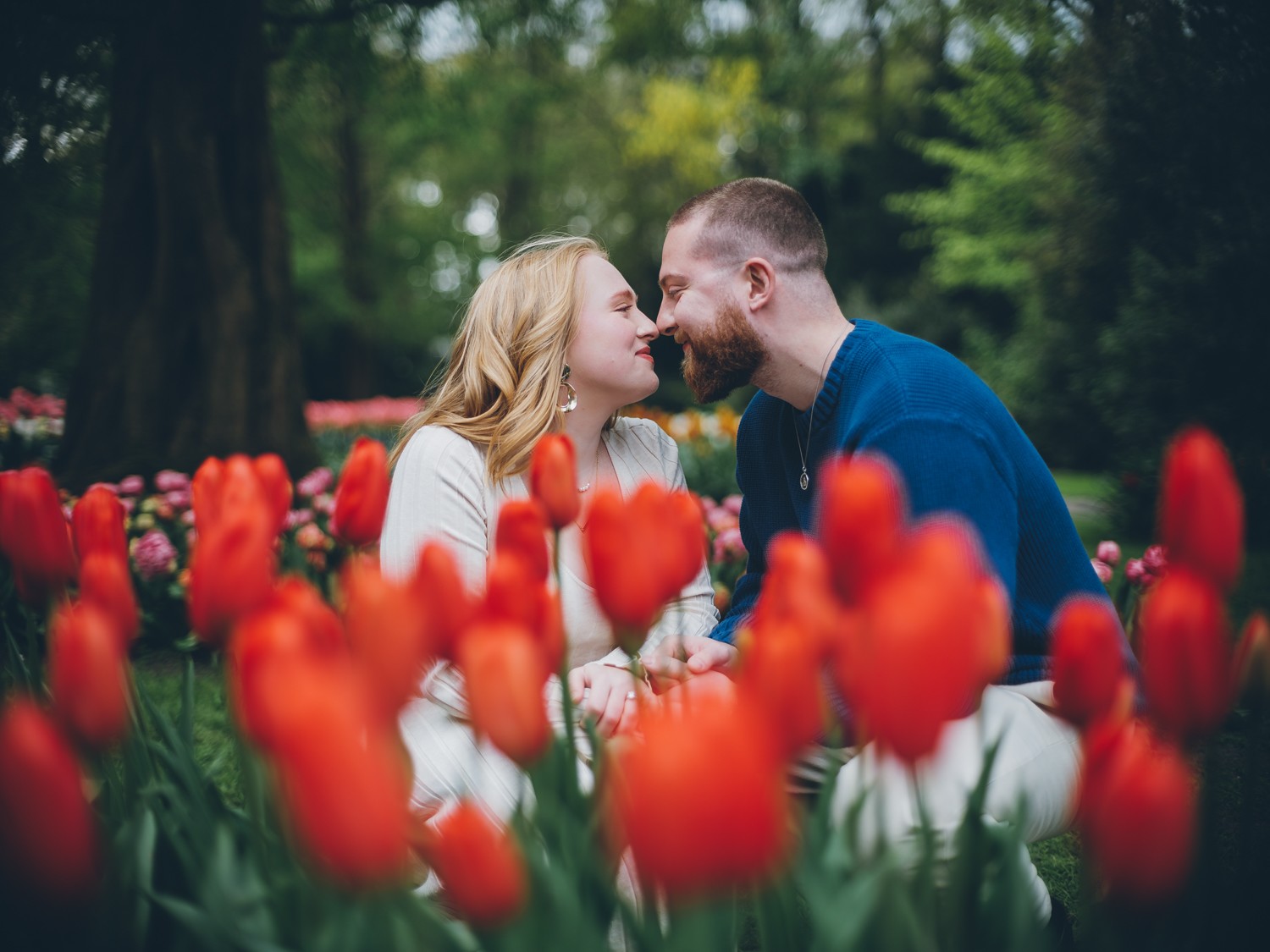 Timeless Couple Engagement in Dutch Tulip Fields