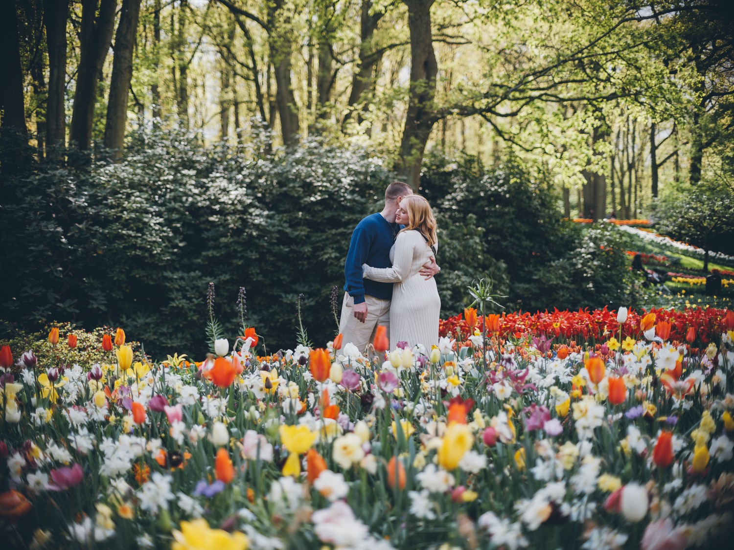 Cinematic Couple Lovestory in Dutch Tulip Fields