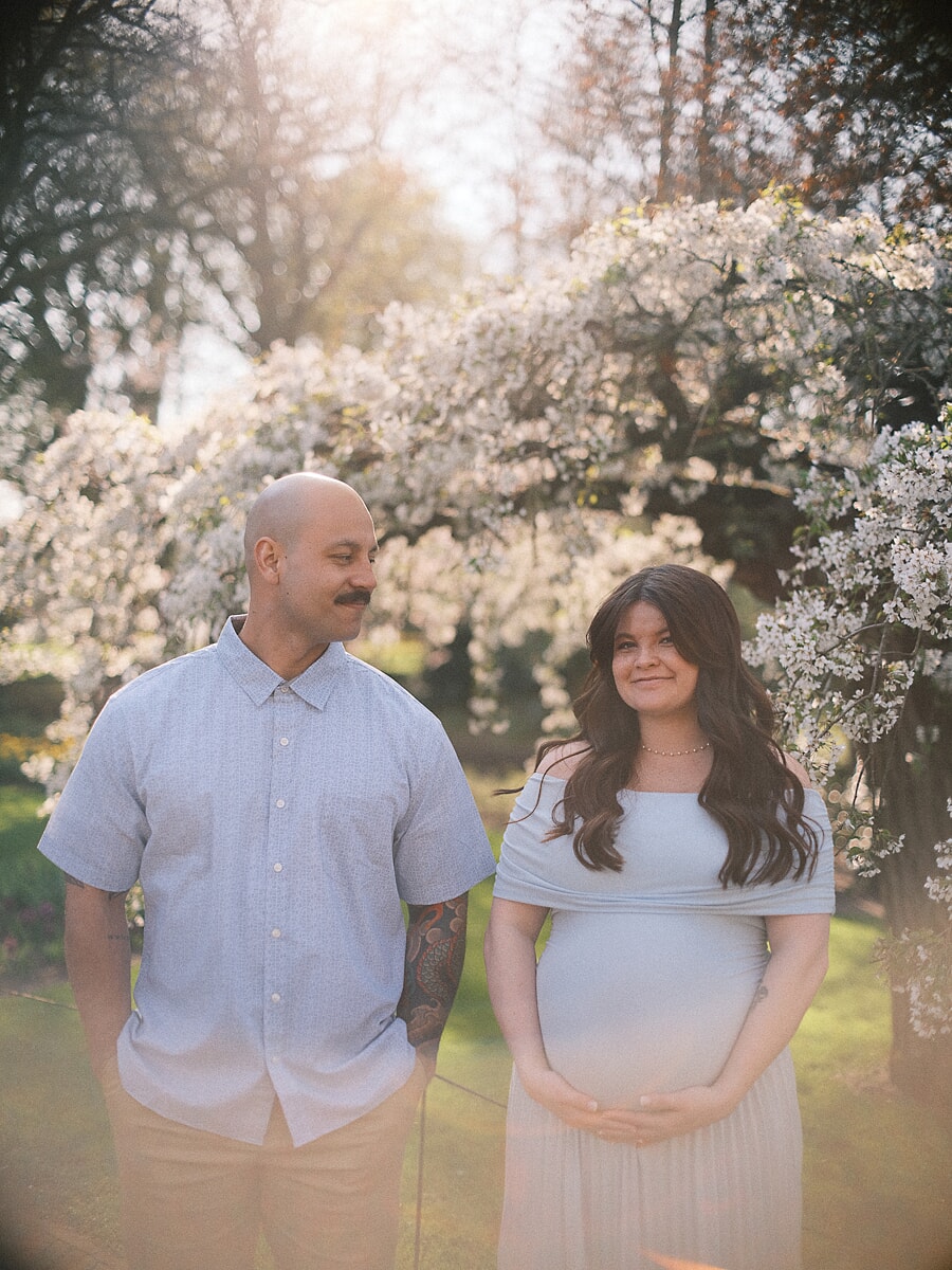 Expecting parents under a white blossom tree in an Amsterdam park, a maternity shoot in low spring sun