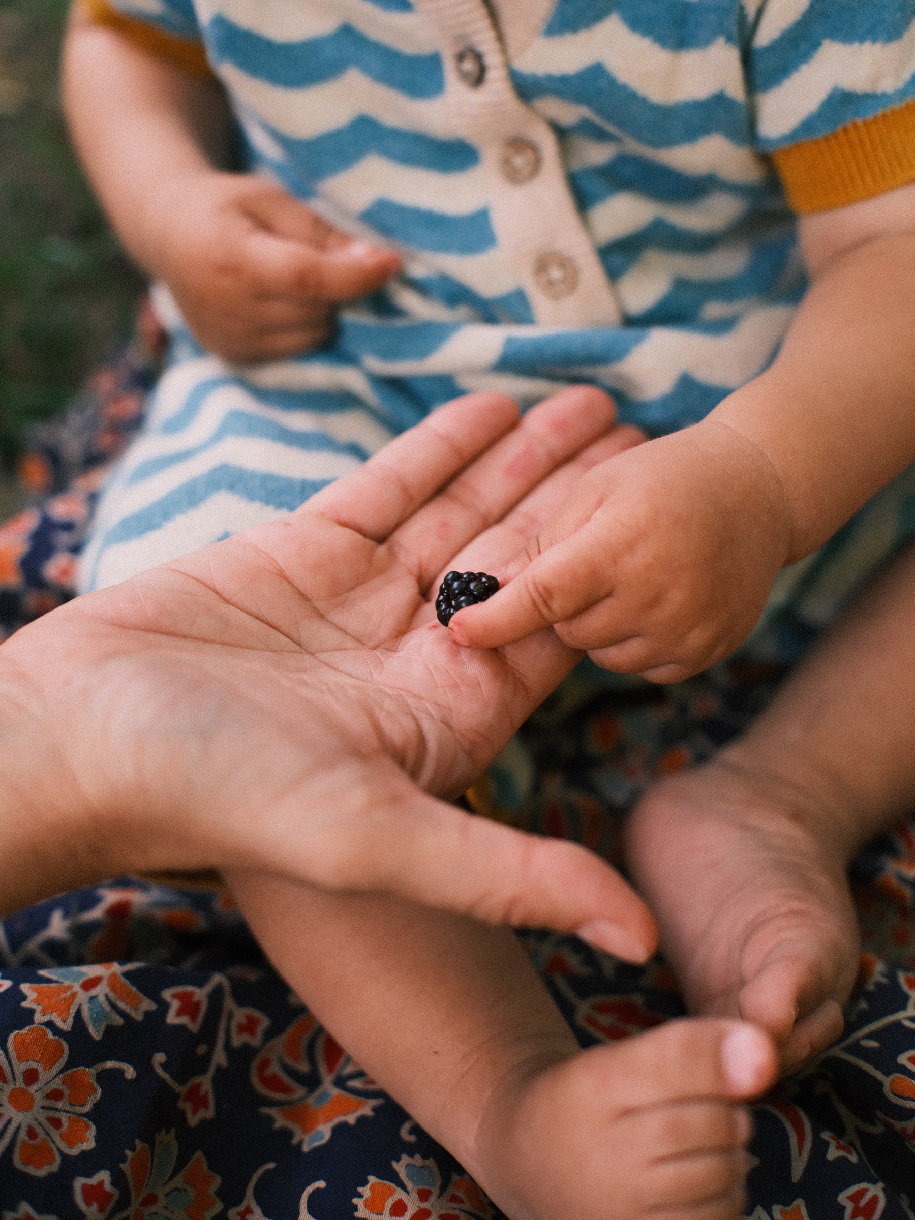 Babyhandje pakt een braam uit de handpalm van zijn moeder, boven een kleed met rode en blauwe bloemen tijdens de picknick
