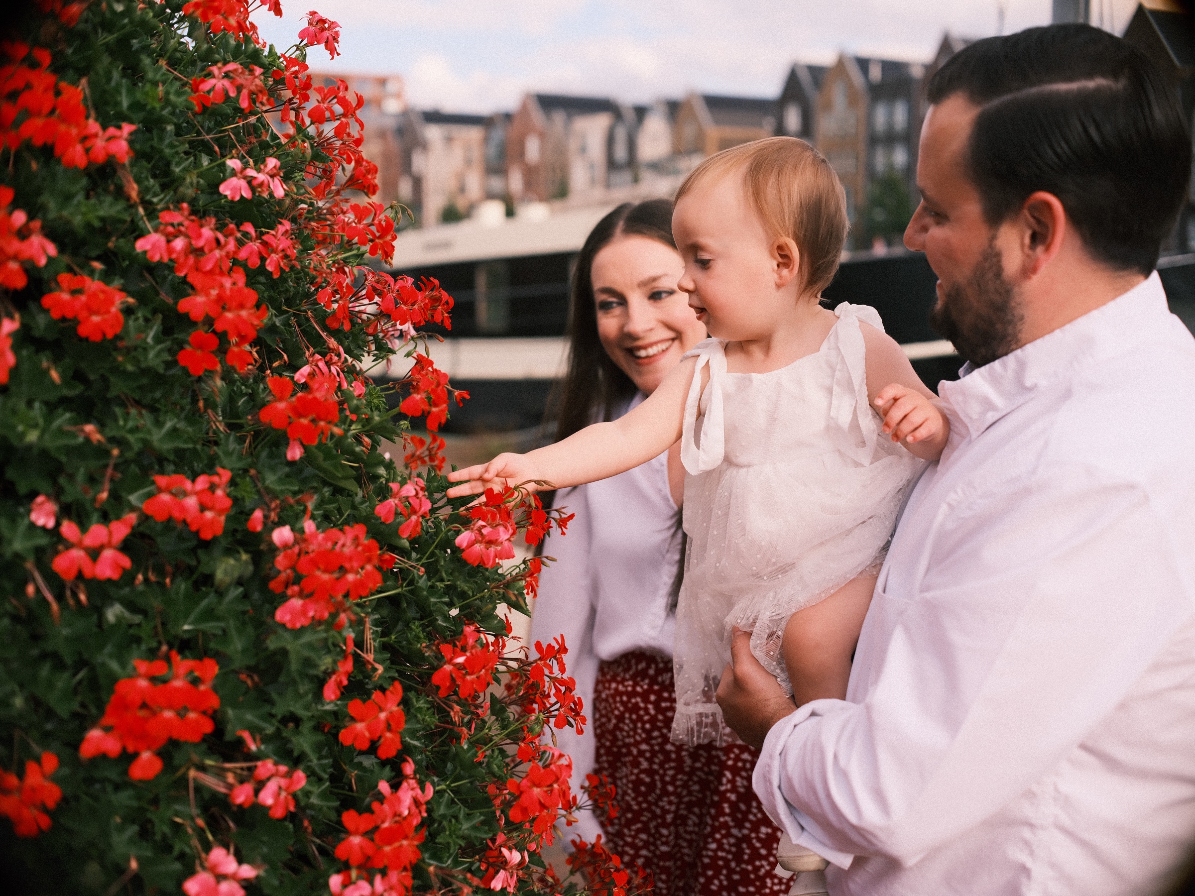 Dochtertje op de arm van haar vader raakt rode geraniums aan terwijl haar moeder lacht, daken met puntgevels zacht erachter